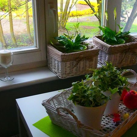 Kamienica Gorna 7 Appartement Olsztyn  Buitenkant foto