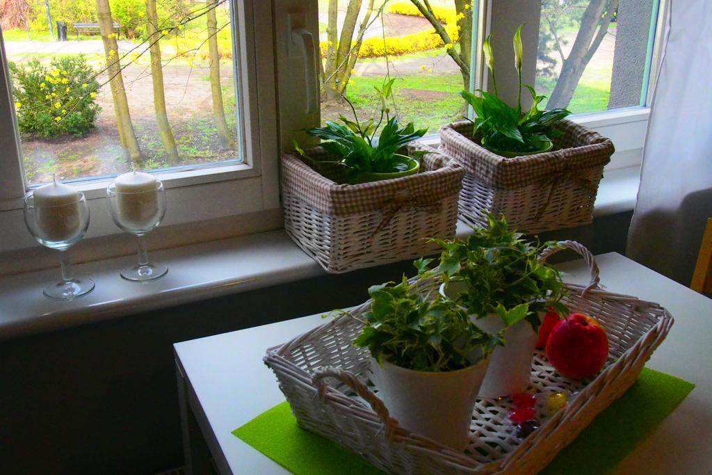 Kamienica Gorna 7 Appartement Olsztyn  Buitenkant foto